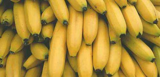 香蕉网国产,探索本土创意与产业的融合之路 第2张 香蕉网国产,探索本土创意与产业的融合之路 第2张