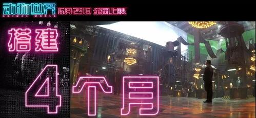 福利视频国产,福利视频展现国产魅力 第3张 福利视频国产,福利视频展现国产魅力 第3张