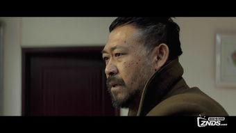 国产字幕,跨越语言障碍，传递文化魅力  第2张