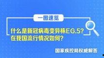 1024 国产 日韩,国产与日韩影视文化的交融与碰撞 第3张 1024 国产 日韩,国产与日韩影视文化的交融与碰撞 第3张